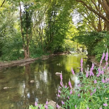 Les Grenouilles Chasseneuil-du-Poitou