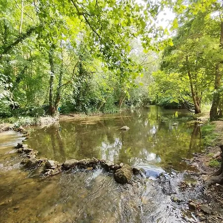Les Grenouilles Lägenhet