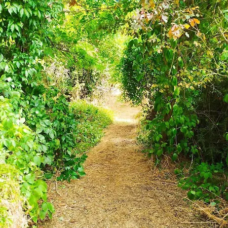 Lägenhet Les Grenouilles