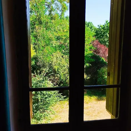 Les Grenouilles Chasseneuil-du-Poitou