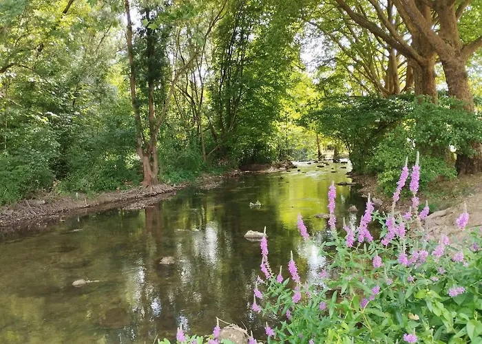 Les Grenouilles Chasseneuil-du-Poitou