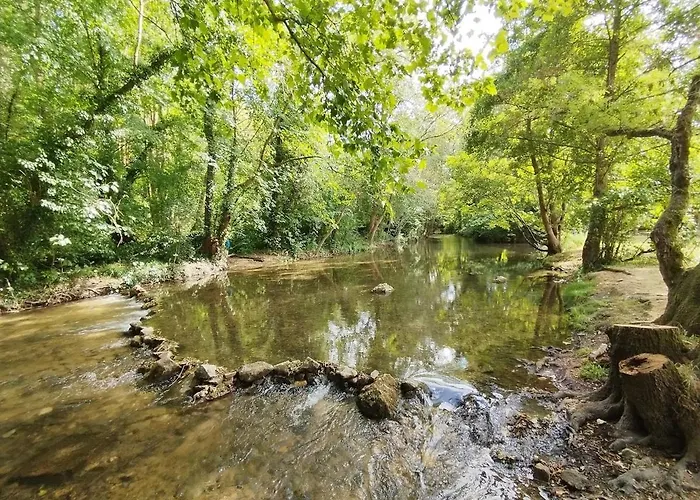 Les Grenouilles Lägenhet