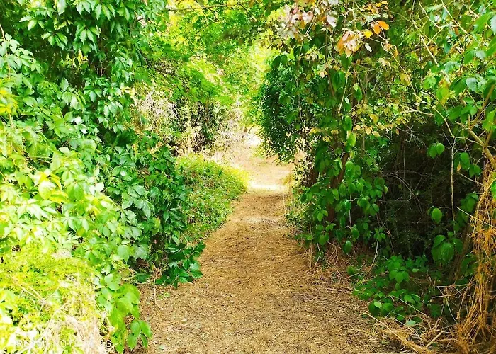 Lägenhet Les Grenouilles